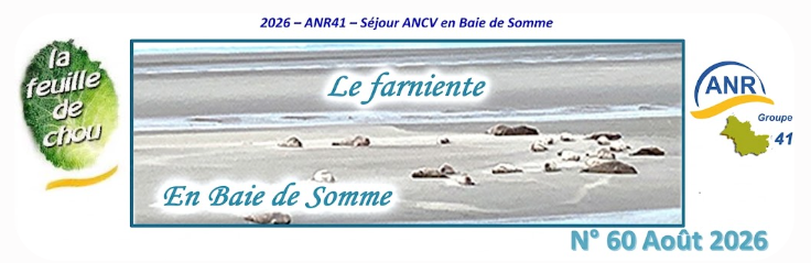 F CHOU 60